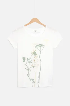 Online T-Shirt Maxine Ivoire Femme Tops Et T-Shirts